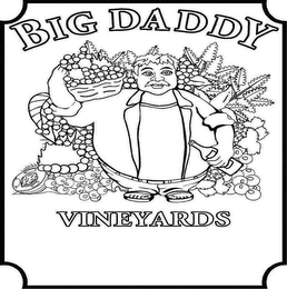 BIG DADDY VINEYARDS logo