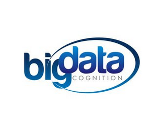 BIG DATA COGNITION logo