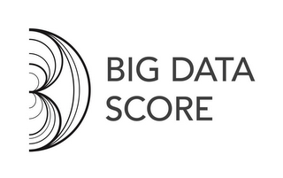 BIG DATA SCORE logo