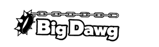 BIG DAWG logo