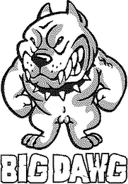 BIG DAWG logo
