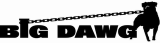 BIG DAWG logo