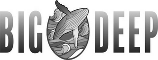 BIG DEEP logo