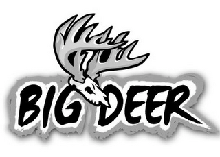 BIG DEER logo