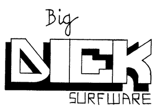 BIG DICK SURFWARE logo
