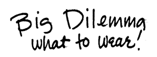 BIG DILEMMA WHAT TO WEAR! logo