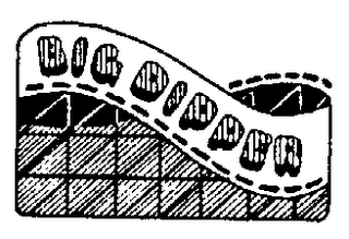 BIG DIPPER logo