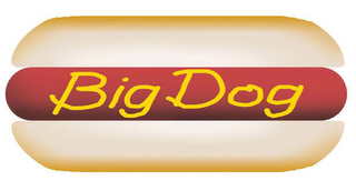 BIG DOG logo