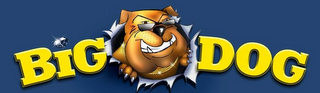 BIG DOG logo