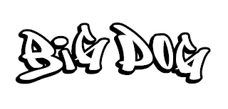 BIG DOG logo