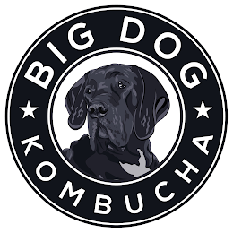 BIG DOG KOMBUCHA logo