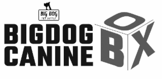 BIG DOG PET SUPPLY BIGDOG CANINE BOX logo