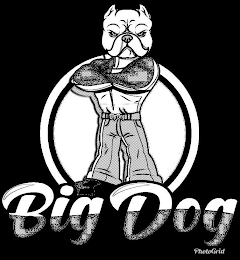 BIG DOG PHOTOGRID logo