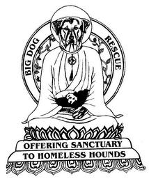 BIG DOG RESCUE OFFERING SANCTUARY TO HOMELESS HOUNDS logo