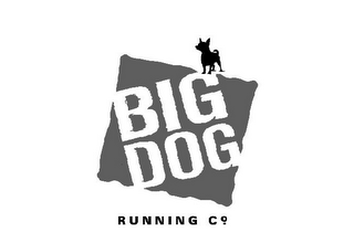 BIG DOG RUNNING CO. logo