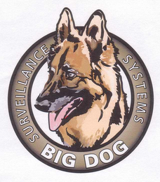 BIG DOG SURVEILLANCE SYSTEMS logo