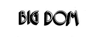 BIG DOM logo
