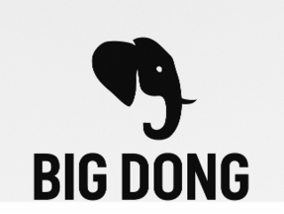 BIG DONG logo