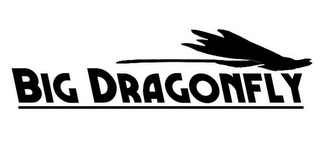 BIG DRAGONFLY logo
