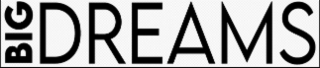 BIG DREAMS logo