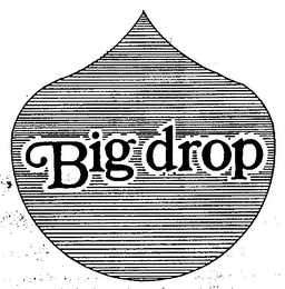 BIG DROP logo