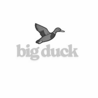 BIG DUCK logo