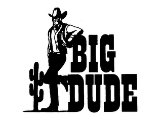 BIG DUDE logo
