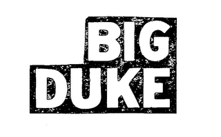 BIG DUKE logo