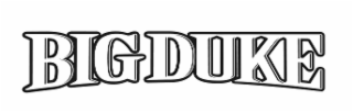 BIG DUKE logo