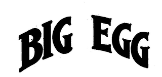 BIG EGG logo