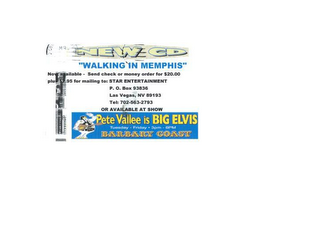 BIG ELVIS logo
