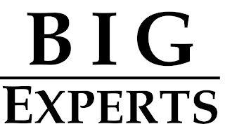 BIG EXPERTS logo