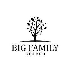 BIG FAMILY SEARCH logo