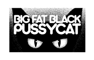 BIG FAT BLACK PUSSYCAT logo