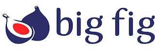 BIG FIG logo