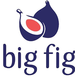 BIG FIG logo