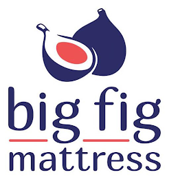 BIG FIG MATTRESS logo