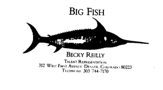 BIG FISH logo