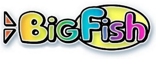 BIG FISH logo