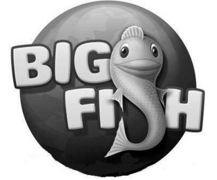 BIG FISH logo
