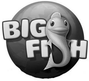 BIG FISH logo