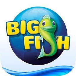 BIG FISH logo