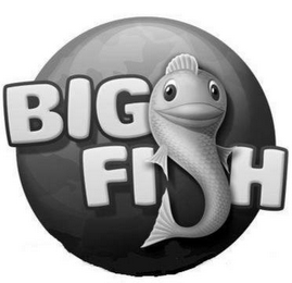 BIG FISH logo