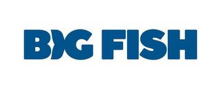 BIG FISH logo