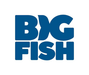 BIG FISH logo
