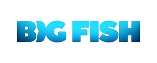 BIG FISH logo