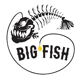 BIG FISH logo