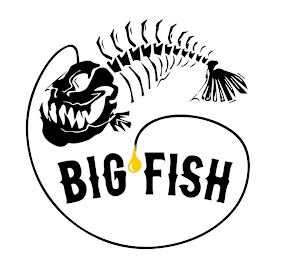 BIG FISH logo