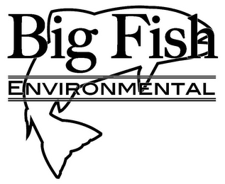 BIG FISH ENVIRONMENTAL logo