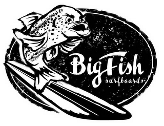 BIG FISH SURFBOARDS logo